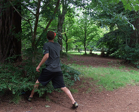 Disc Golf New Zealand